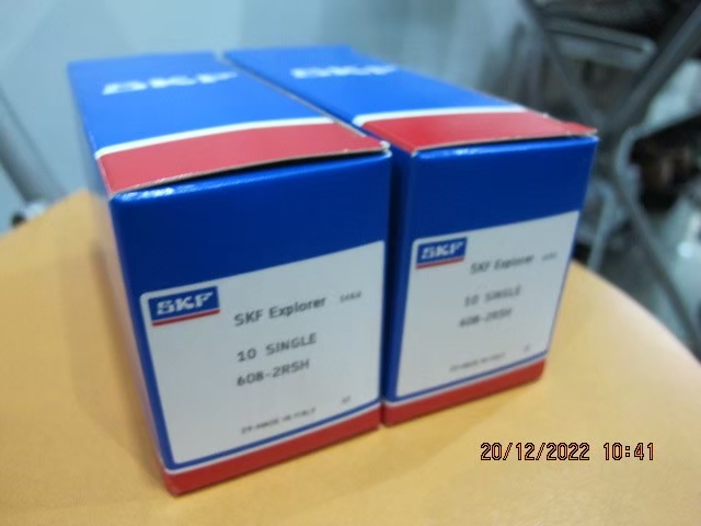 SKF Photo 18